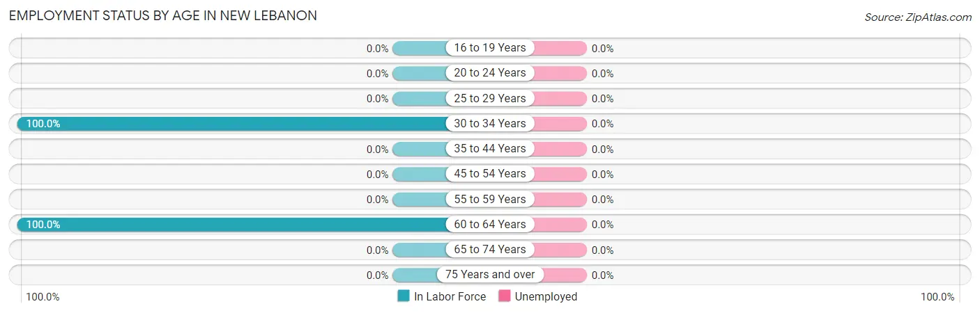 Employment Status by Age in New Lebanon