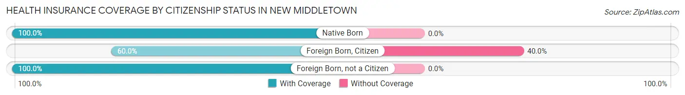 Health Insurance Coverage by Citizenship Status in New Middletown