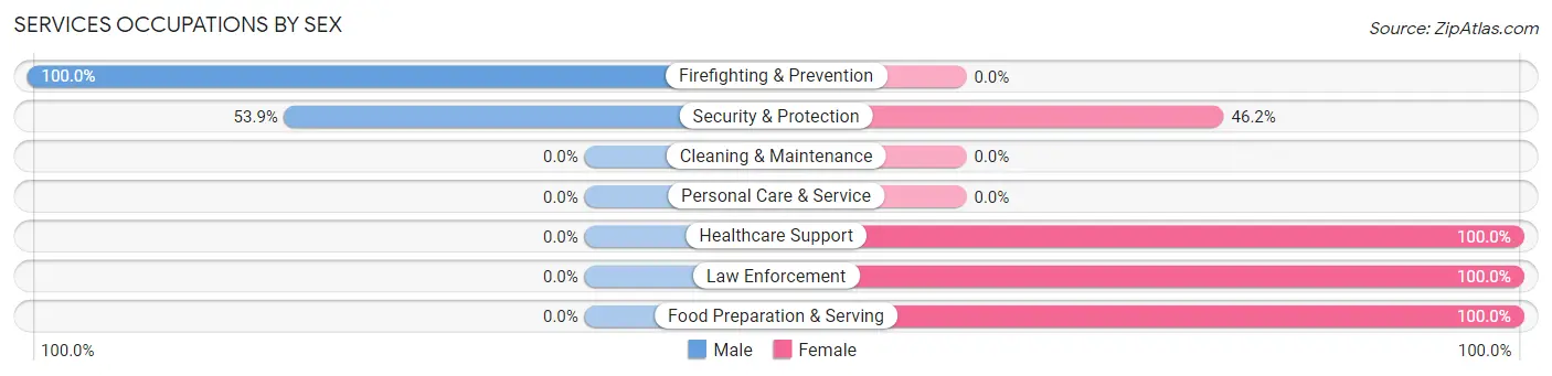 Services Occupations by Sex in New Washington
