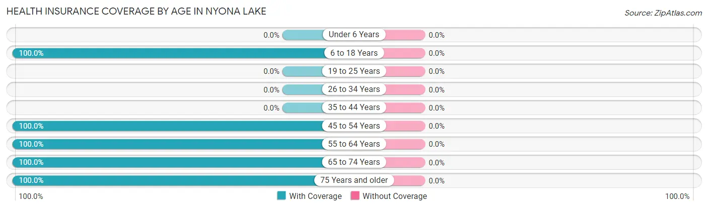 Health Insurance Coverage by Age in Nyona Lake
