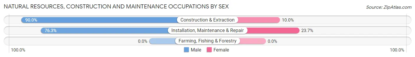 Natural Resources, Construction and Maintenance Occupations by Sex in Otterbein