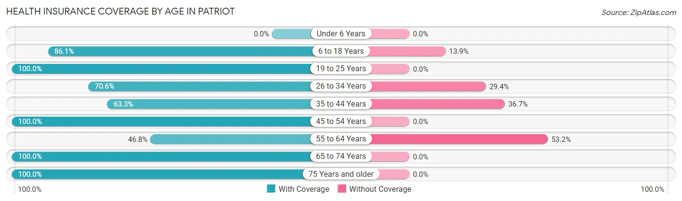 Health Insurance Coverage by Age in Patriot