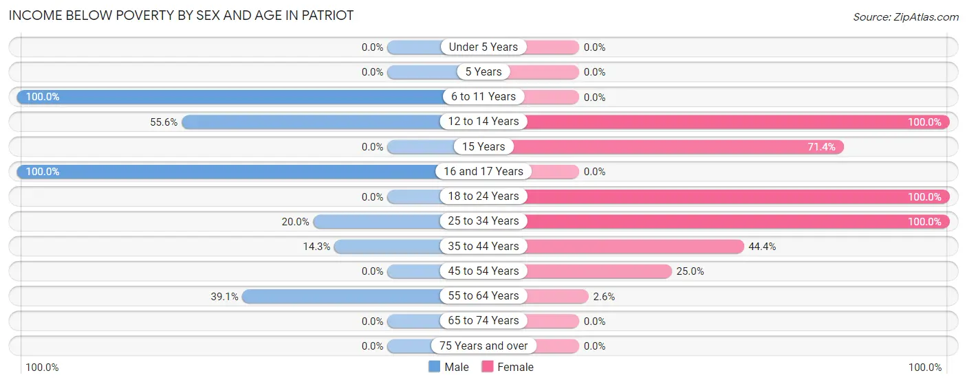 Income Below Poverty by Sex and Age in Patriot