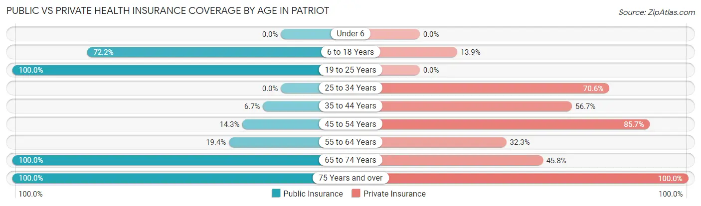 Public vs Private Health Insurance Coverage by Age in Patriot