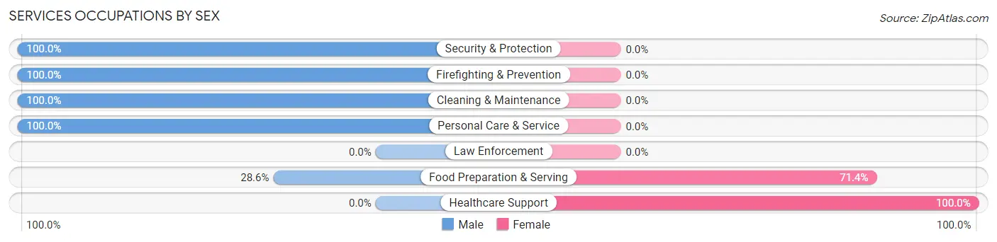 Services Occupations by Sex in Patriot