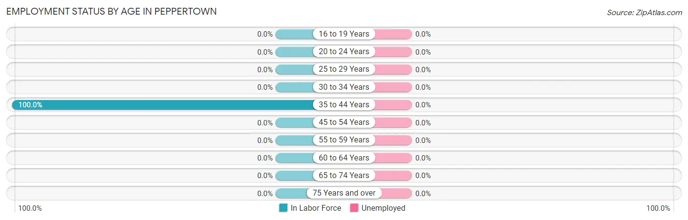 Employment Status by Age in Peppertown
