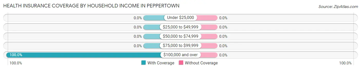 Health Insurance Coverage by Household Income in Peppertown