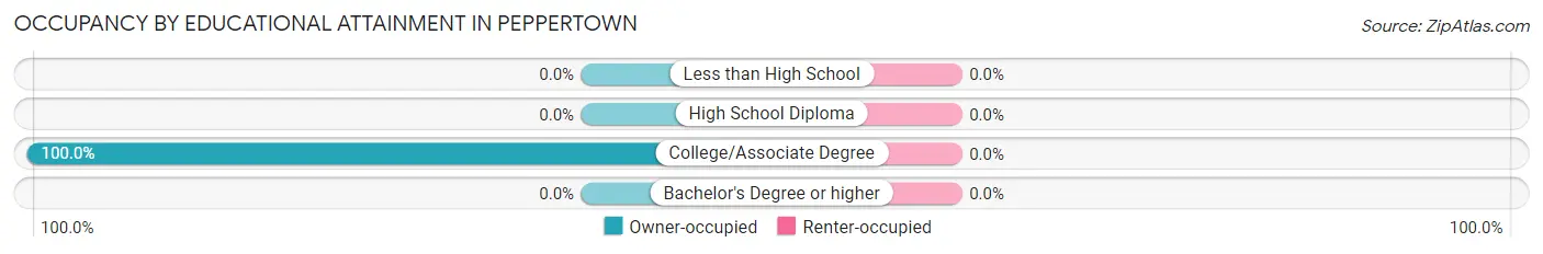 Occupancy by Educational Attainment in Peppertown