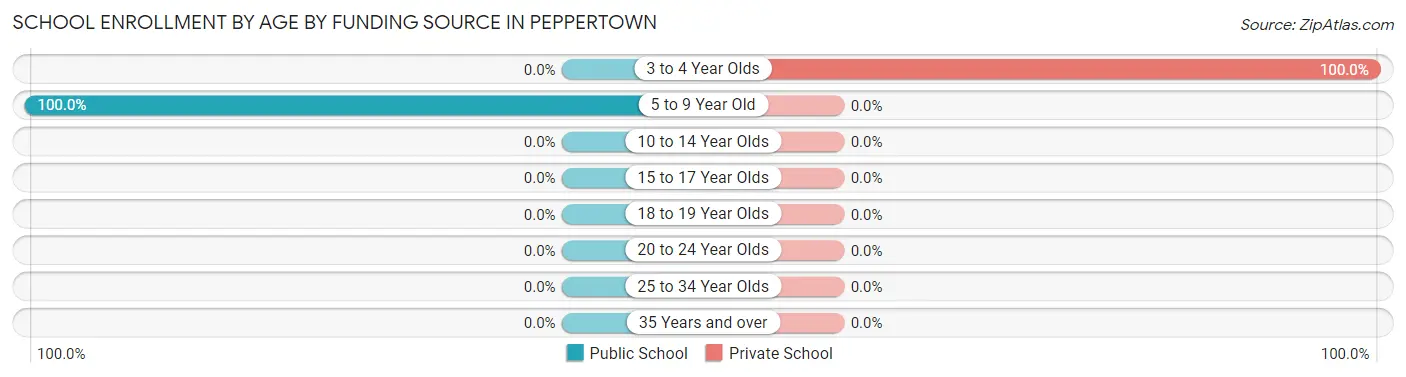 School Enrollment by Age by Funding Source in Peppertown