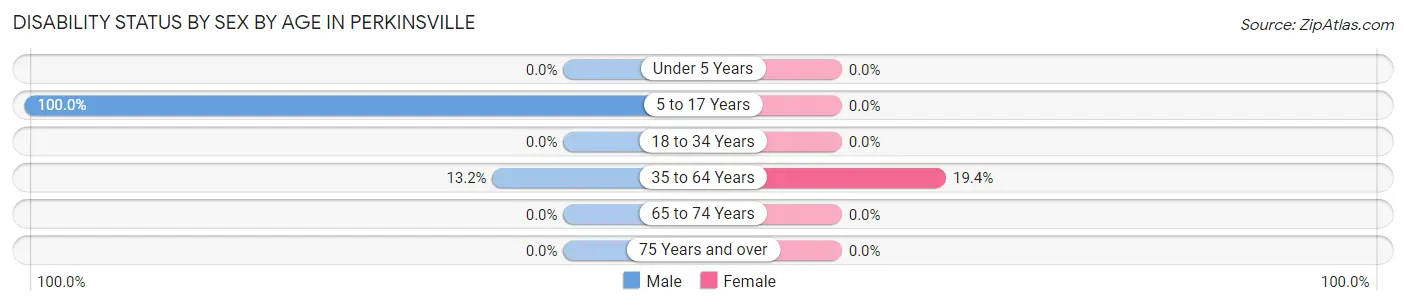 Disability Status by Sex by Age in Perkinsville