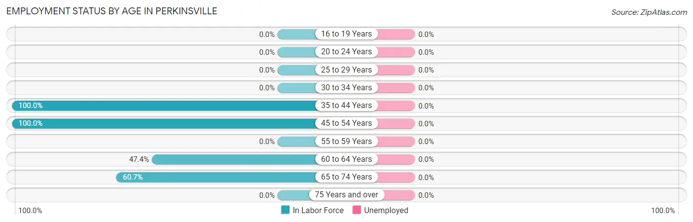 Employment Status by Age in Perkinsville