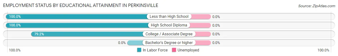 Employment Status by Educational Attainment in Perkinsville
