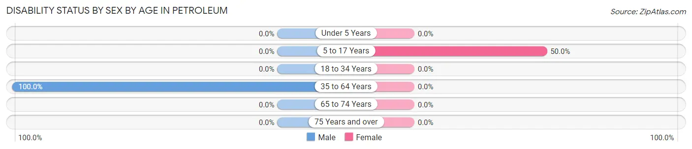Disability Status by Sex by Age in Petroleum