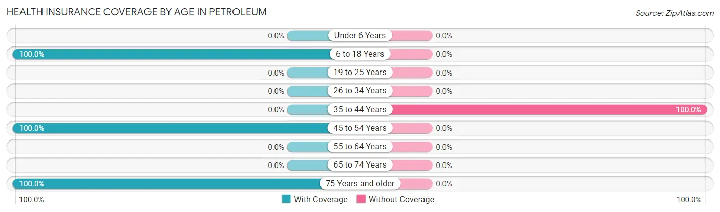 Health Insurance Coverage by Age in Petroleum
