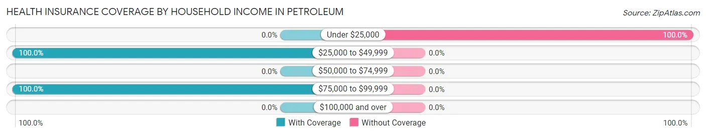 Health Insurance Coverage by Household Income in Petroleum