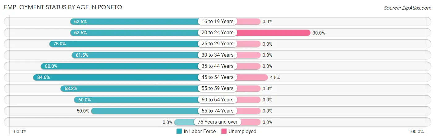 Employment Status by Age in Poneto