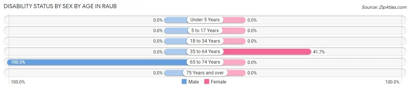 Disability Status by Sex by Age in Raub