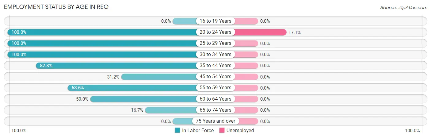 Employment Status by Age in Reo