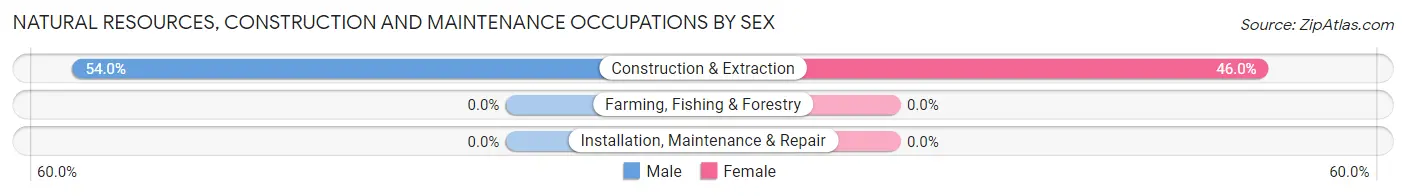 Natural Resources, Construction and Maintenance Occupations by Sex in Reo