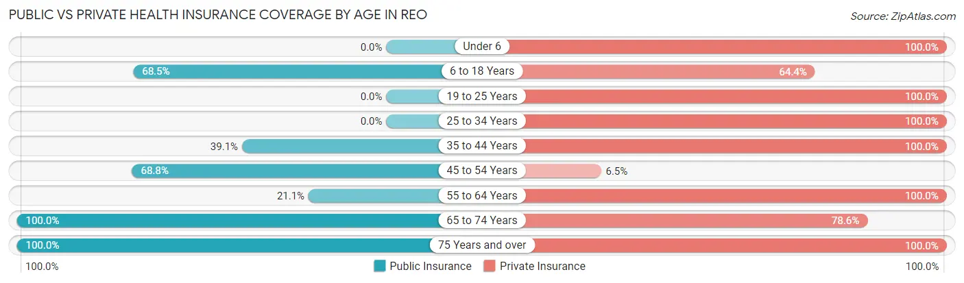 Public vs Private Health Insurance Coverage by Age in Reo