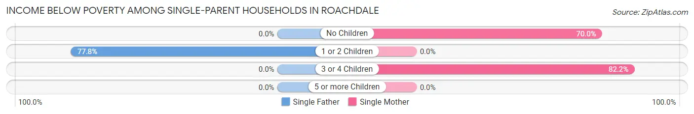 Income Below Poverty Among Single-Parent Households in Roachdale