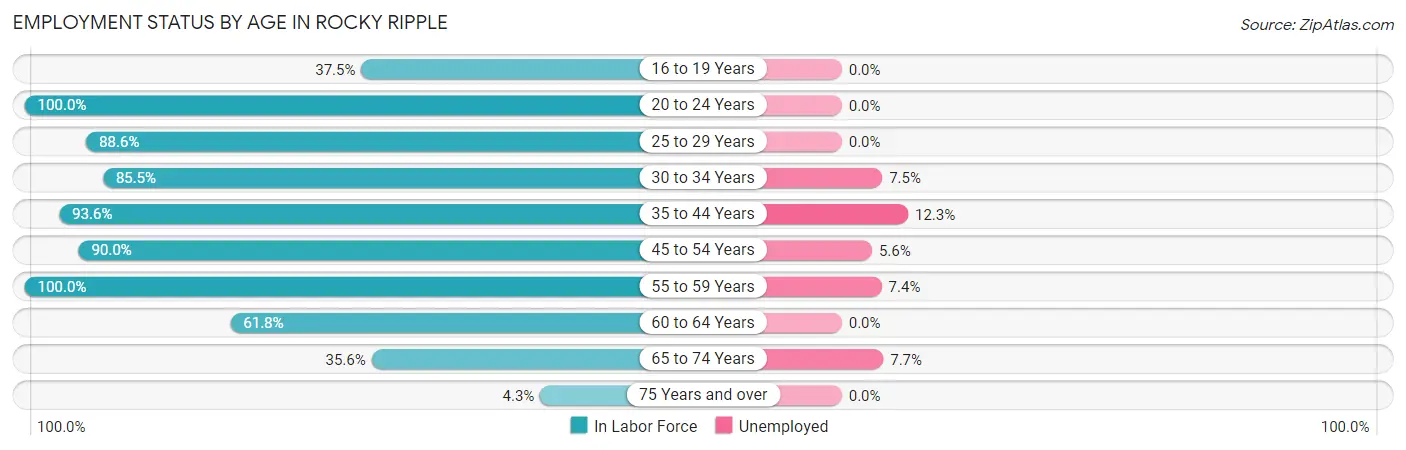 Employment Status by Age in Rocky Ripple