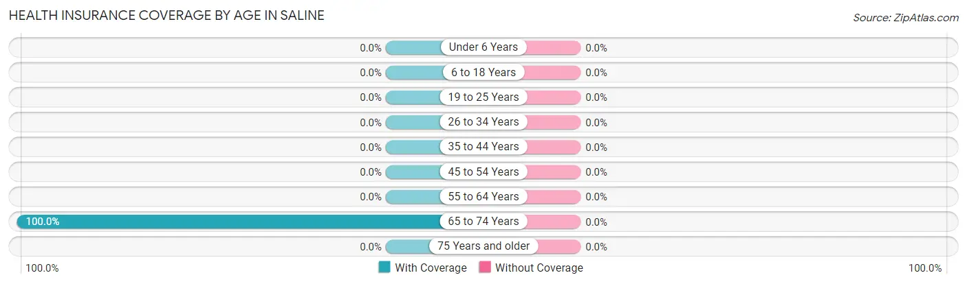 Health Insurance Coverage by Age in Saline