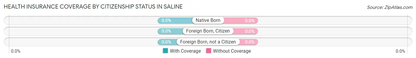 Health Insurance Coverage by Citizenship Status in Saline