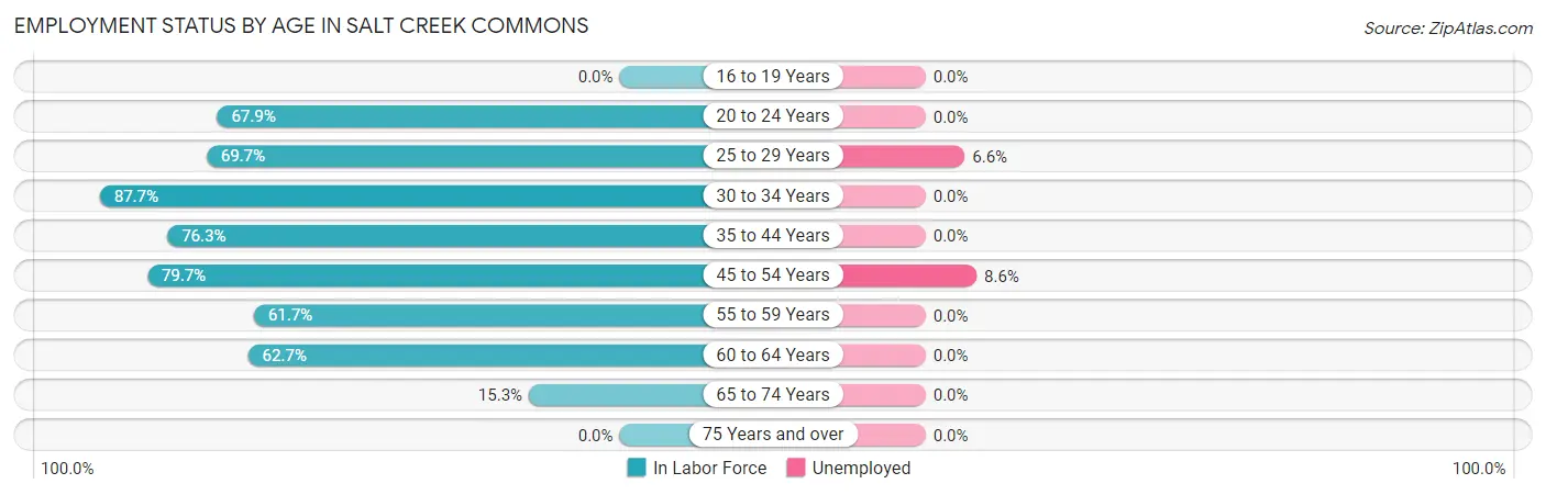 Employment Status by Age in Salt Creek Commons