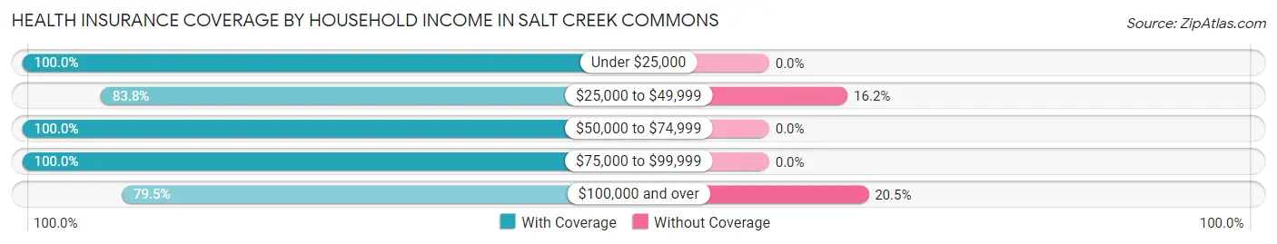 Health Insurance Coverage by Household Income in Salt Creek Commons