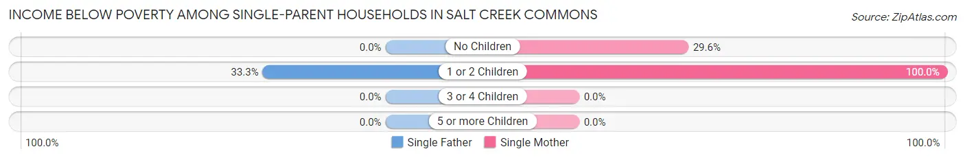 Income Below Poverty Among Single-Parent Households in Salt Creek Commons