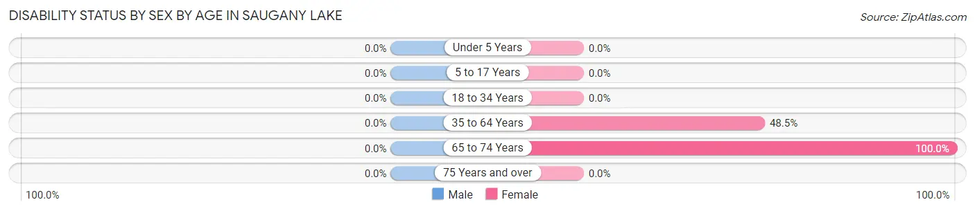 Disability Status by Sex by Age in Saugany Lake