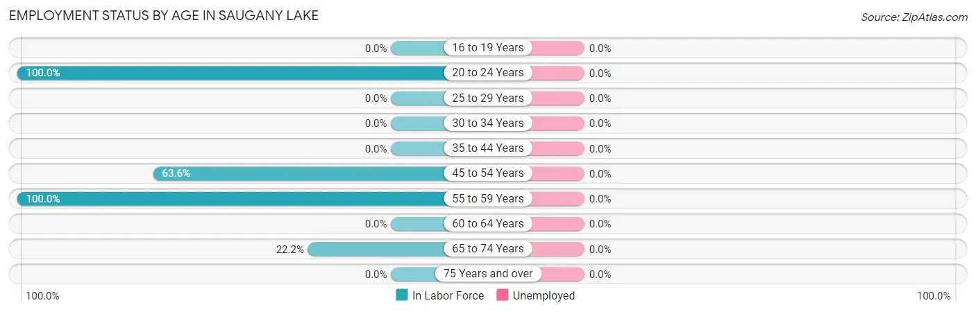 Employment Status by Age in Saugany Lake