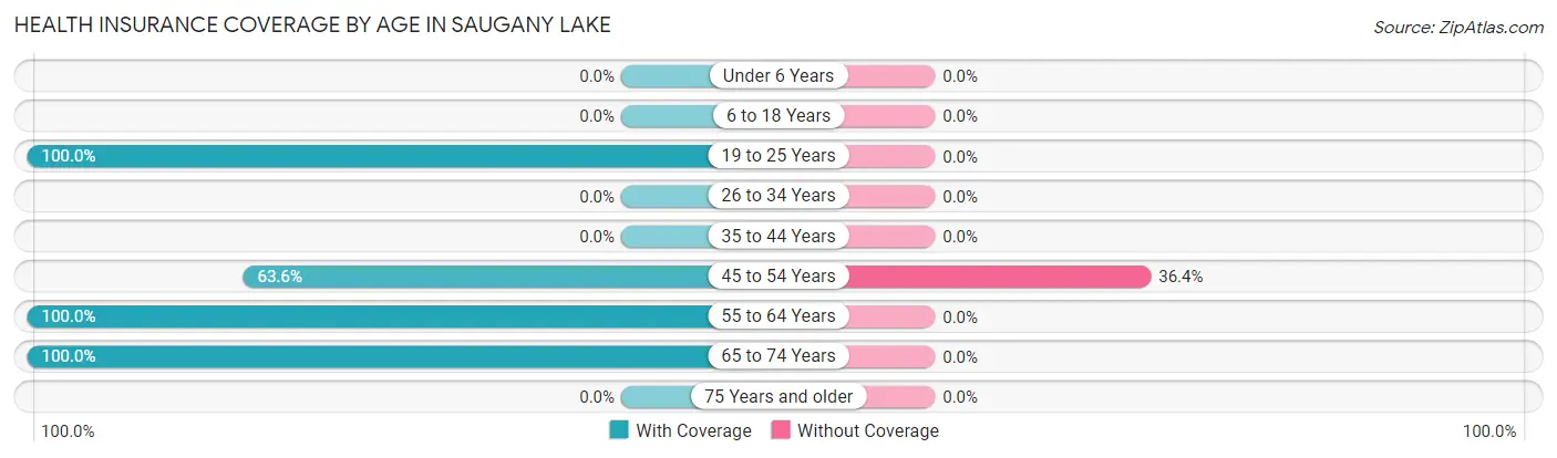 Health Insurance Coverage by Age in Saugany Lake