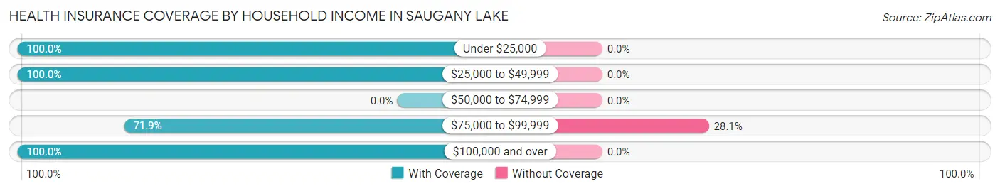 Health Insurance Coverage by Household Income in Saugany Lake