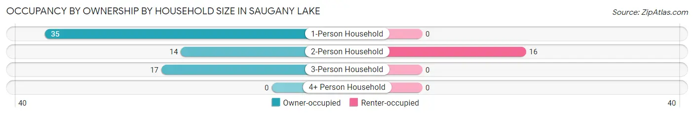 Occupancy by Ownership by Household Size in Saugany Lake