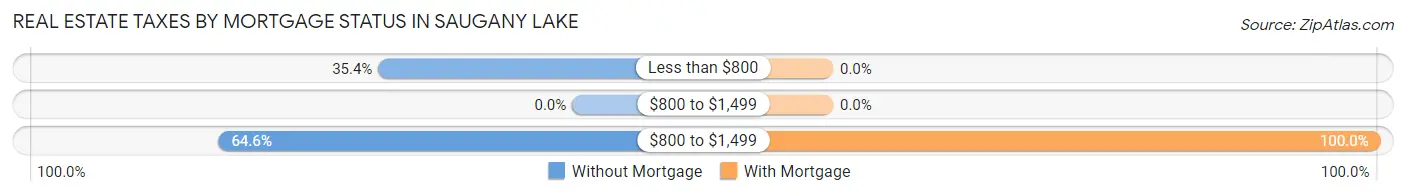 Real Estate Taxes by Mortgage Status in Saugany Lake