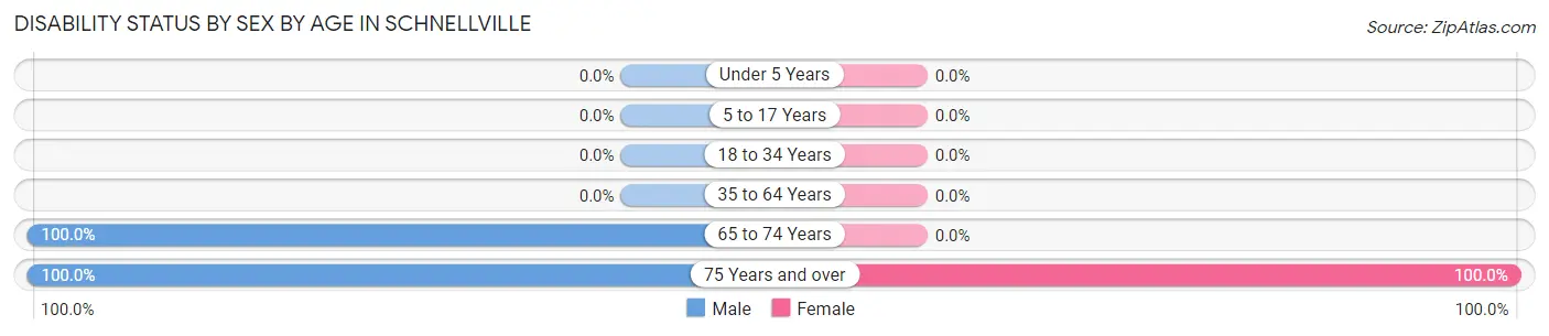 Disability Status by Sex by Age in Schnellville