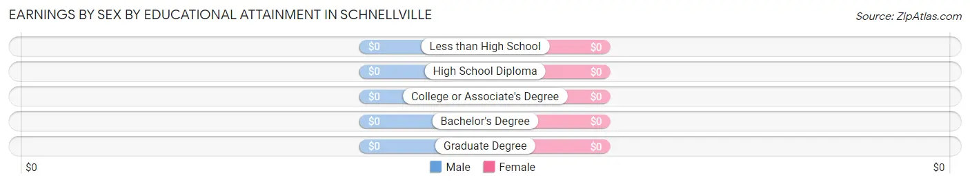 Earnings by Sex by Educational Attainment in Schnellville
