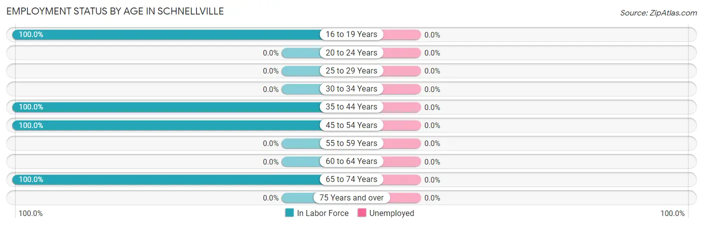 Employment Status by Age in Schnellville