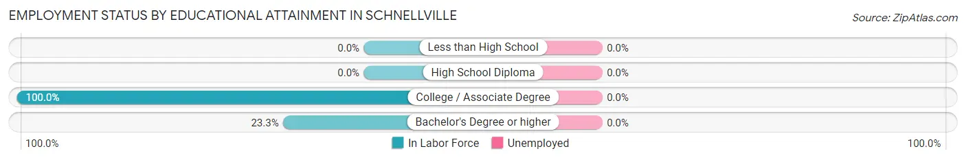 Employment Status by Educational Attainment in Schnellville