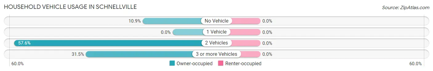 Household Vehicle Usage in Schnellville