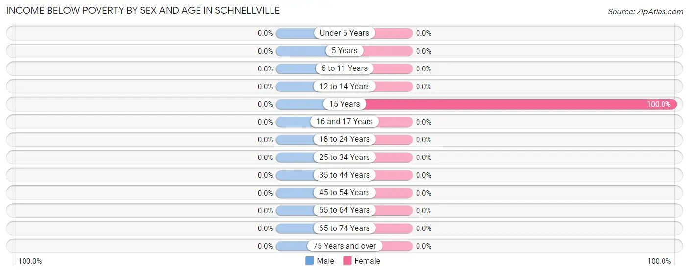 Income Below Poverty by Sex and Age in Schnellville