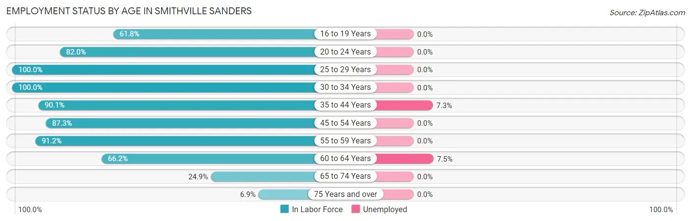 Employment Status by Age in Smithville Sanders