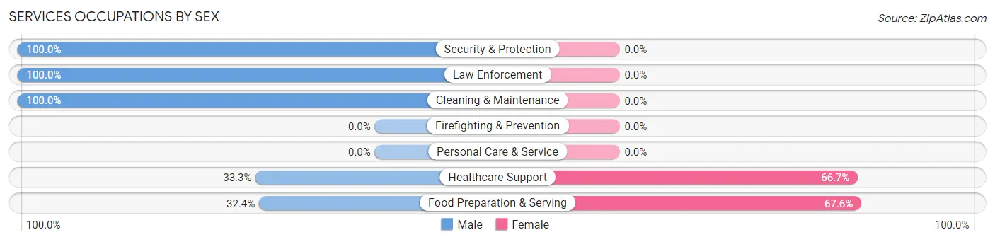 Services Occupations by Sex in Smithville Sanders