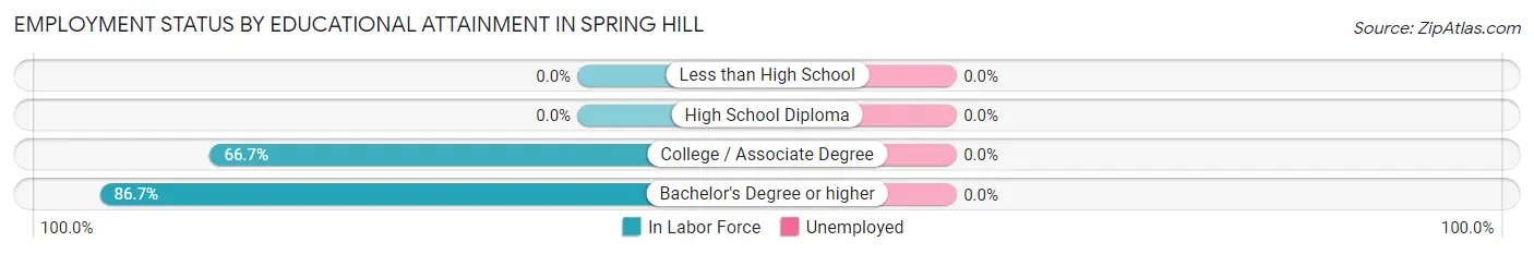 Employment Status by Educational Attainment in Spring Hill