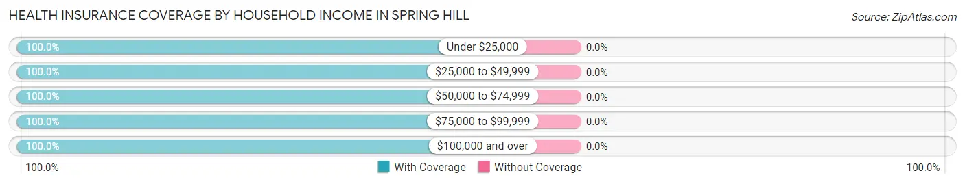Health Insurance Coverage by Household Income in Spring Hill
