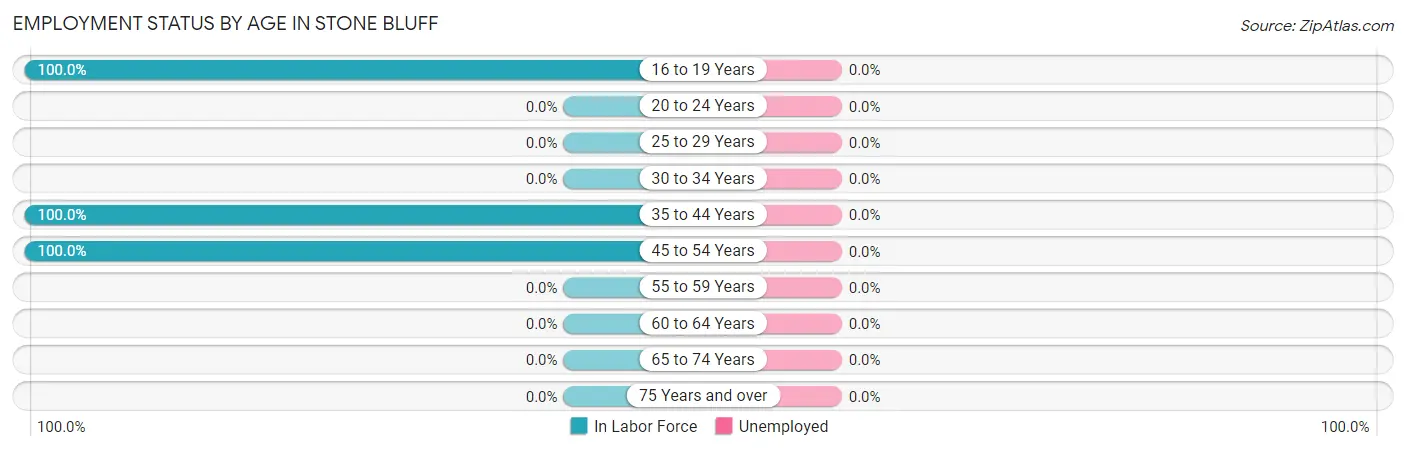 Employment Status by Age in Stone Bluff
