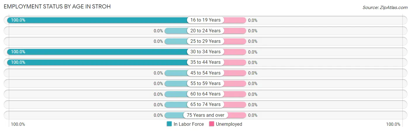 Employment Status by Age in Stroh