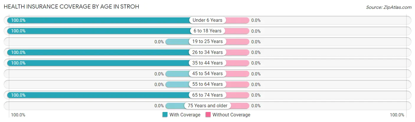 Health Insurance Coverage by Age in Stroh